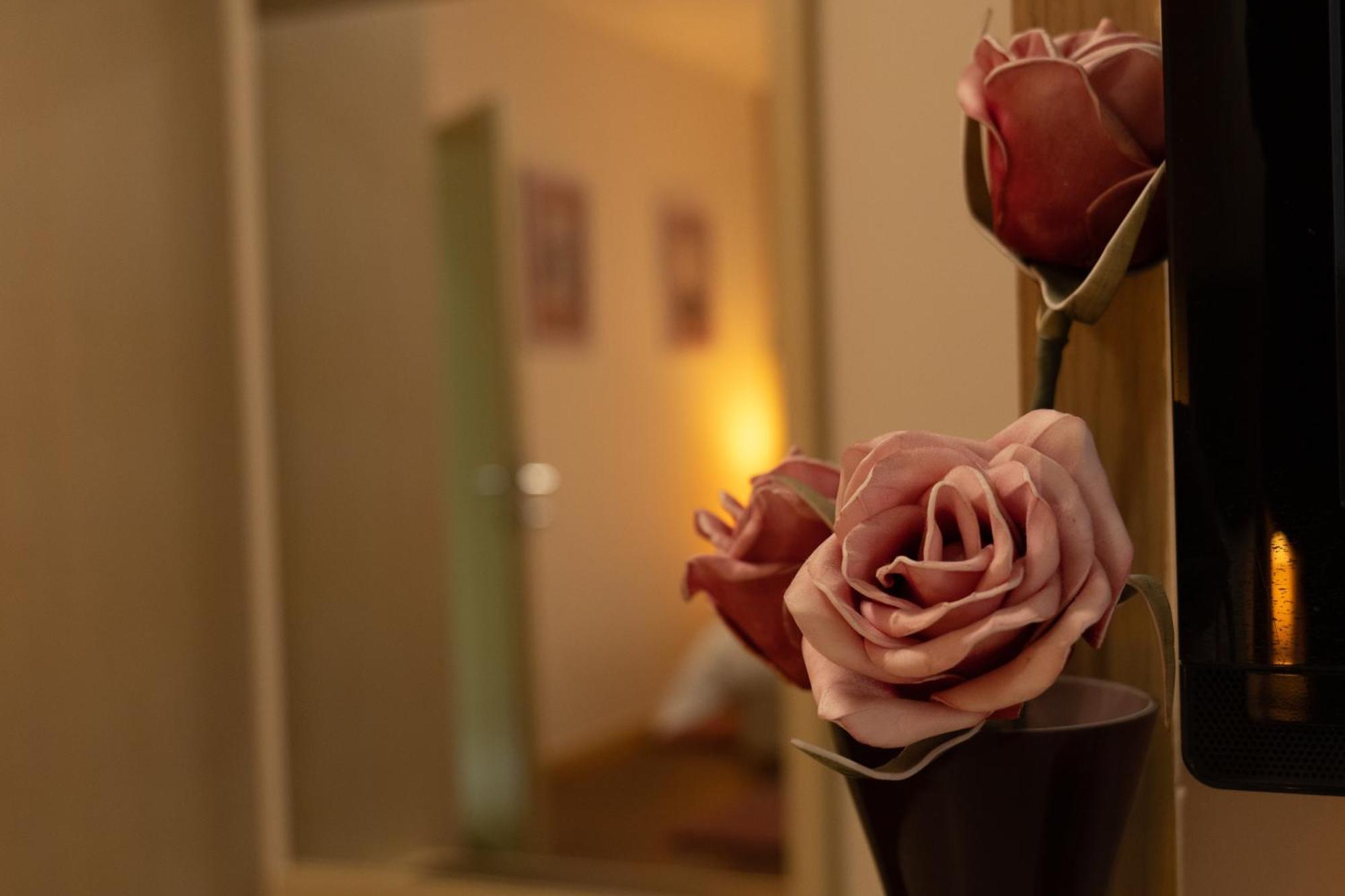 ザダル ルーム スカロップ Bed & Breakfast エクステリア 写真